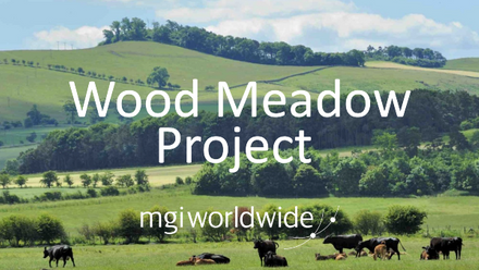 Wood meadow project 600x340.png